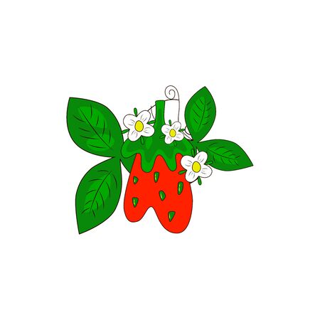 STRAWBERRY plant with leaves, flowers. Hand drawn bright color vector illustration on white background. Flat cartoon style.  Organic healthy fruit. Perfect for magazine, book, poster, card, web pagesのイラスト素材