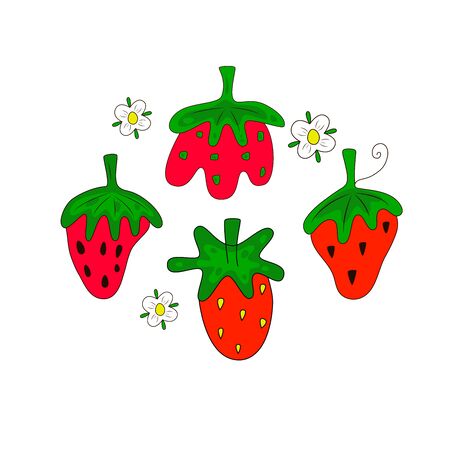 Set of STRAWBERRY with flowers. Hand drawn bright color vector illustration on white background. Flat cartoon style.  Organic healthy fruit. Perfect for magazine, book, poster, card, web pagesのイラスト素材