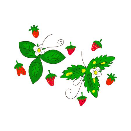 STRAWBERRY plant with leaves, flowers. Hand drawn bright color vector illustration on white background. Flat cartoon style.  Organic healthy fruit. Perfect for magazine, book, poster, card, web pagesのイラスト素材