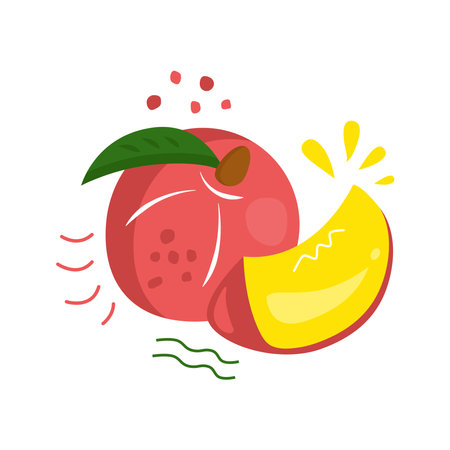 Hand drawn PEACH fruit with leaves on white background. Whole peach, ripe peach slices with leaf. Vector illustrationのイラスト素材