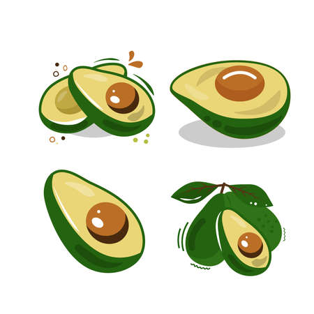 AVOCADO drawing. Fruit icon isolated on white background.  Healthy food, tropical fruit. Flat cartoon vector Illustration.のイラスト素材
