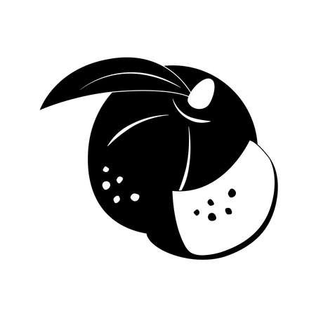 Single drawn Whole peach, ripe peach slices with leaf. ... Trend line art graphic design vector illustrationのイラスト素材
