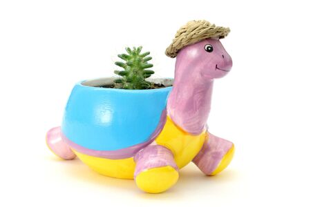 Color pot for plants a turtleの写真素材
