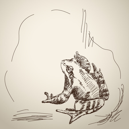 Sketch of frog. Hand drawn illustrationのイラスト素材