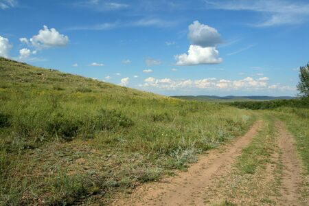 Road to steppes among a grass