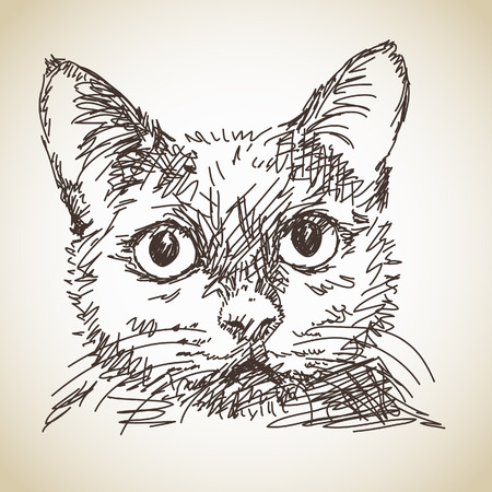 Hand drawn portrait of catのイラスト素材