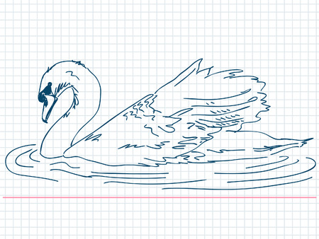 Hand drawn swan Vectorのイラスト素材