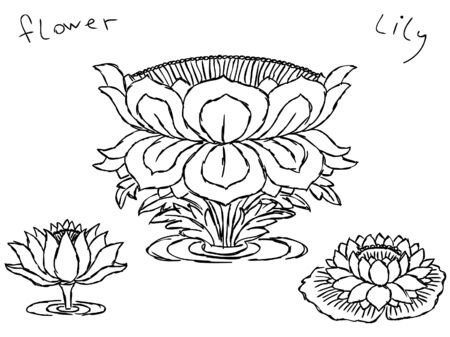 Hand drawn lotus flowers Vectorのイラスト素材