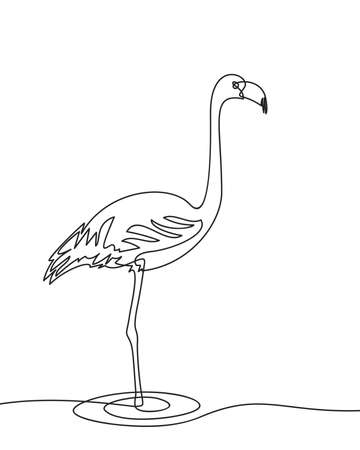 Continuous line drawing of flamingo, Black and white vector minimalist hand drawn illustrationのイラスト素材