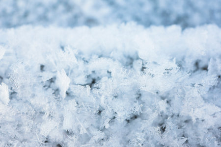 Cold winter background with many snowflakes hoar frost, Fresh snow background texture macro shotの写真素材