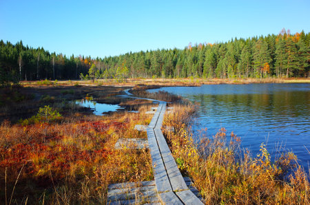 Nature of Sweden in autumn, Wooden path on calm lake Stora Abbortjarnen, Peaceful outdoor image, Lake Stora Abbortjarnen is popular fishing destination in Swedenの写真素材