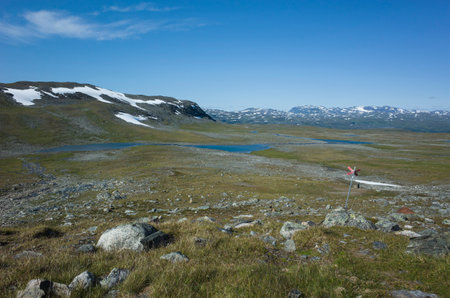 Swedish Lapland landscape with stones, snow and fragile vegetation. Arctic environment of Scandinavia in warm summer sunny day with blue sky. Nordkalottruta or Arctic hiking Trail in northern Swedenの写真素材