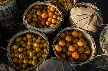 Fresh mandarin oranges fruit or tangerines in wicker bamboo baskets for sell at Zay Cho Market in Mandalay, Contrast photo with dark shadeの写真素材