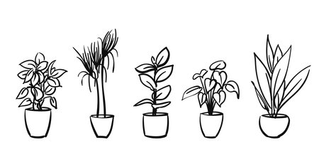 Potted plants isolated Hand drawn illustration set, Vector sketch, Indoor houseplant flowerpot freehand drawingのイラスト素材