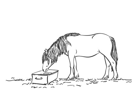 Sketch of horse with long mane is drinking, Vector Hand drawn line art illustrationのイラスト素材