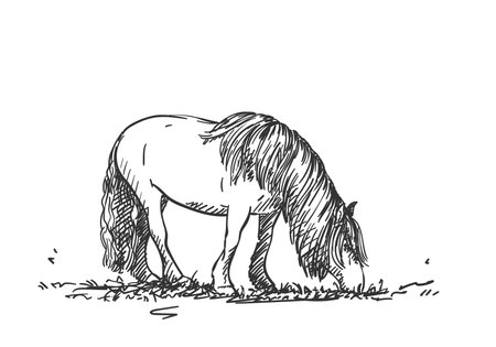 Sketch of grazing horse with long mane, Vector Hand drawn illustrationのイラスト素材