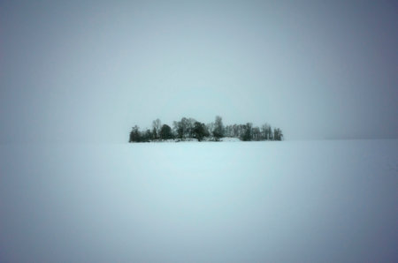 Sweden in winter, Frozen Malaren lake island in fogの写真素材
