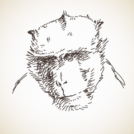 Sketch of monkey head Hand drawn vector illustrationのイラスト素材
