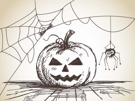 Halloween Sketch of Pumpkin and Spider on web, Hand drawn illustrationのイラスト素材