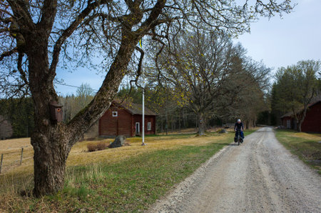 Travel Sweden by bicycle, Traveller cycling on gravel road in Swedish countryside in springの写真素材