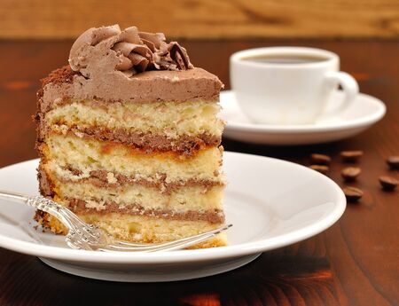 A piece of chocolate cake on a white plate