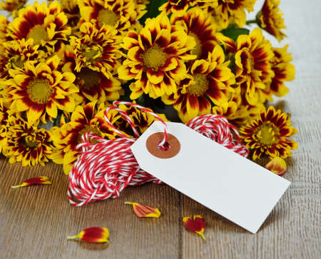 Autumn flowers on a brown backgroundの写真素材