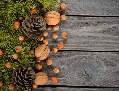 Green twigs, nuts on a gray backgroundの写真素材