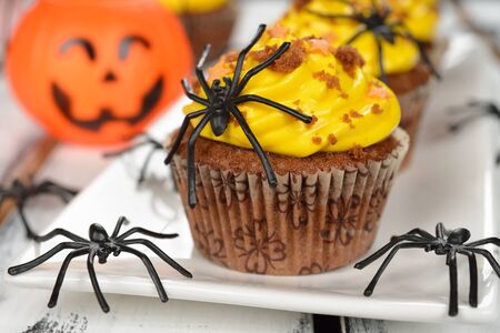 Cupcakes for Halloween on a white backgroundの写真素材