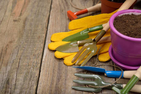 Garden tools on a wooden background