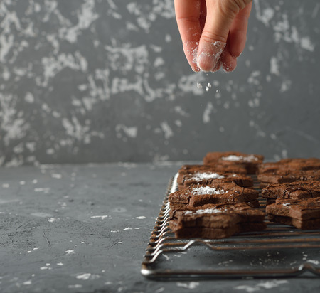 Chocolate cookies on a gray backgroundの写真素材