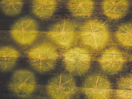 Sacred geometry. Yellow, green and brown background with round lemon stars. Stars pattern. Abstract background.の写真素材