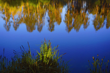 Forest reflection in water surface.  Colors frame: yellow, blue, green. Spring evening warm weather.