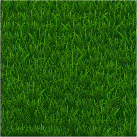 Green grass realistic textured background. Vector illustrationのイラスト素材