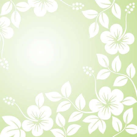 white flowers on green backgroundのイラスト素材