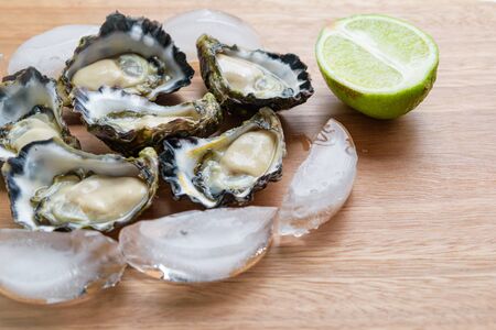 Freshly shucked Sydney Rock Oyster
