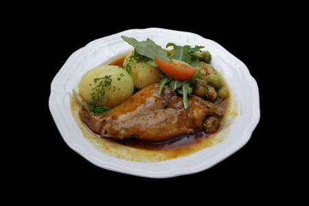 Picture of a roast with dumplingsの写真素材