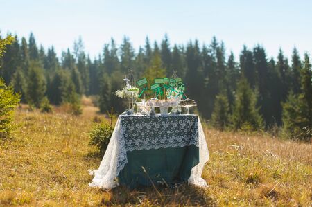 Candybar cupcakes and cakes with tags empty space for writing. Candybar in the mountains. forest in the background. autumn. mountainside with yellowed grass. Sunny day. Wedding decorations. Sweets on a table in the open air, outdoors, nobody.の写真素材