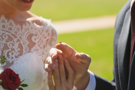 Ladybird on finger. Bride and groom are looking at ladybug. Ladybird going to fly.の写真素材