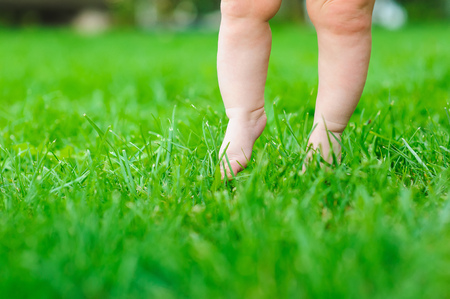 Baby feeling grass for the first time. Child's feet touch the grassの写真素材
