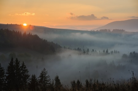 Morning in the mountains. Carpathian mountains at dawn.の写真素材