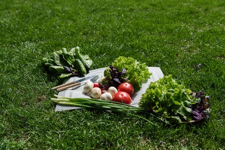 Healthy food fresh vegetables on green lawnの写真素材