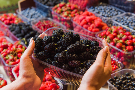 Buying berries in the local market. Close-up, hand touches mulberry. Various berries in the background.の写真素材