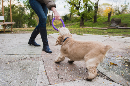Girl walking with her dog in parkの写真素材