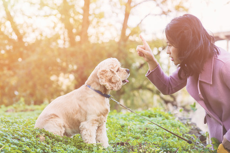 Asian woman training her dog outdoor