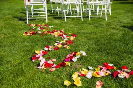 Colorful roses petals on the grassの写真素材