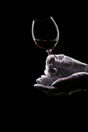Contours of hands in white gloves hold wine glassの写真素材