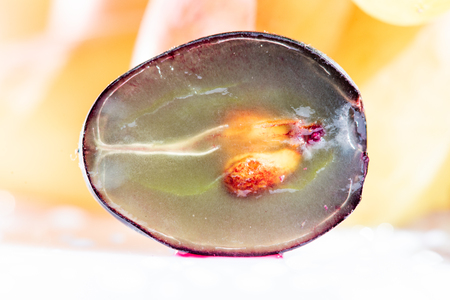 Translucent slice of dark blue grape with seedsの写真素材