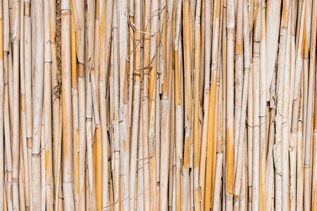 Reed cane texture background photo close upの写真素材