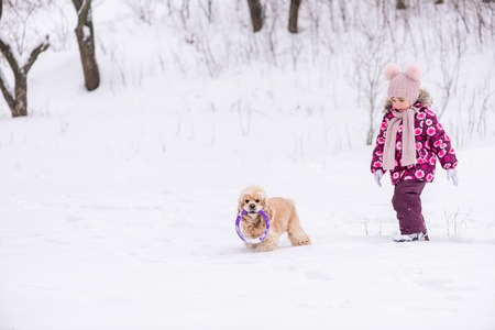 Little girl walk in snow with cocker spanielの写真素材