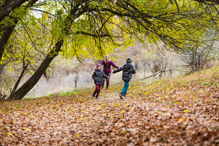 Smiling mom and twin boys, brothers run on fallen dry leaves under trees in autumn forest. Active family weekendの写真素材